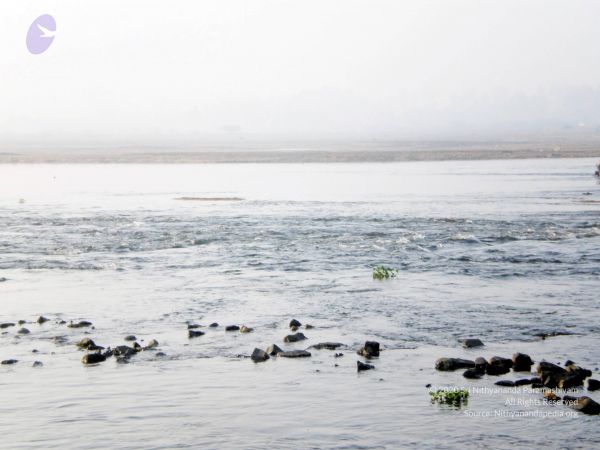 20090131 P2010629 CMP WM01.jpg