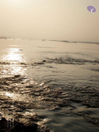 20090131 P2010633 CMP WM01.jpg