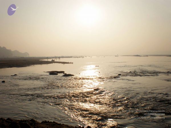 20090131 P2010634 CMP WM01.jpg