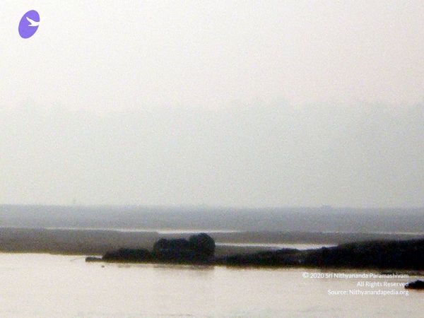 20090131 P2010637 CMP WM01.jpg