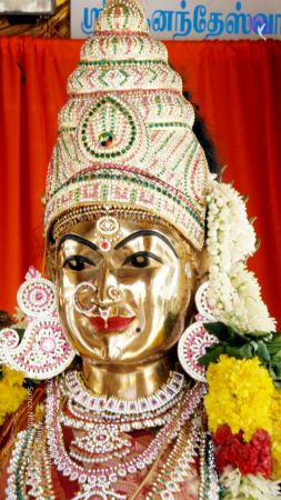 20090131 P2010697 CMP WM01.jpg