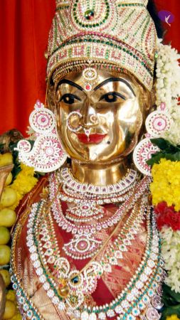 20090131 P2010701 CMP WM01.jpg