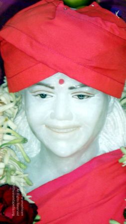 20090131 P2010705 CMP WM01.jpg