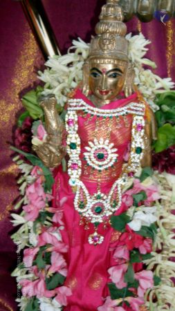 20090131 P2010707 CMP WM01.jpg