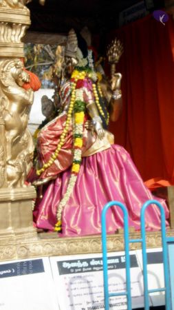 20090131 P2010715 CMP WM01.jpg