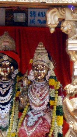 20090131 P2010755 CMP WM01.jpg