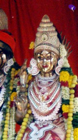 20090131 P2010756 CMP WM01.jpg