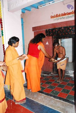 20090202 DSC 0208 CMP WM01.jpg