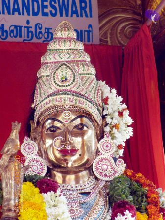 20090209 DSCN0072 CMP WM 0011.jpg