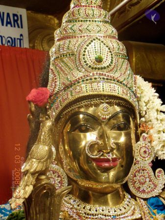 20090209 DSCN0282 CMP WM 0011.jpg