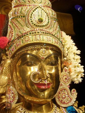 20090209 DSCN0283 CMP WM 0011.jpg