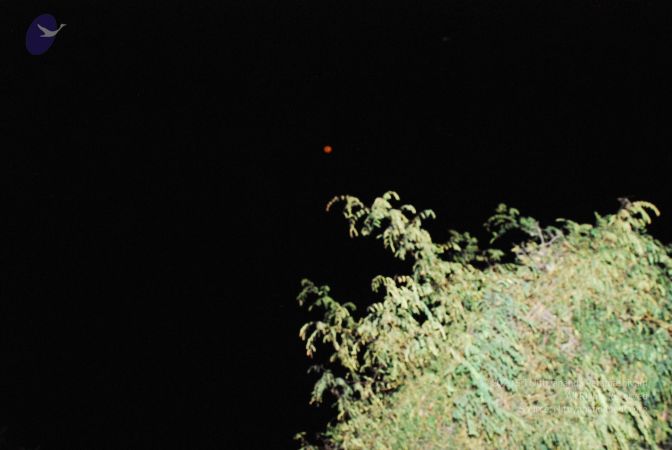 20090210 Photo 1064 1stfND7a8ooul Zg0HaFzF6XL5kt3LNtS.JPG