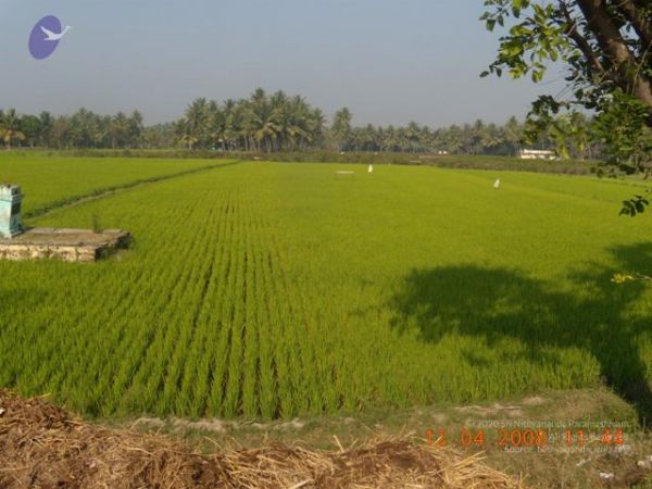 20090210 Photo 1142 1g2c3reTvyoHmYbbwwa95dEBa65 1q4qF.JPG