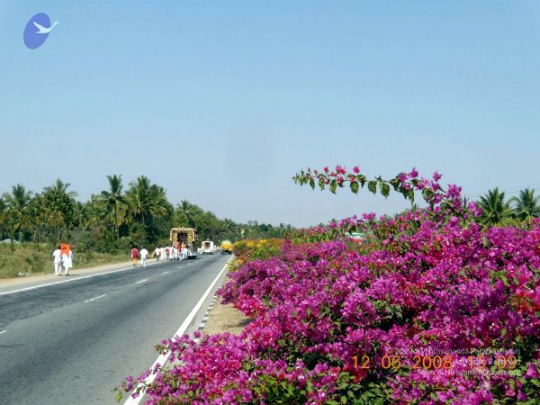 20090212 DSCN0914 CMP WM 0011.jpg