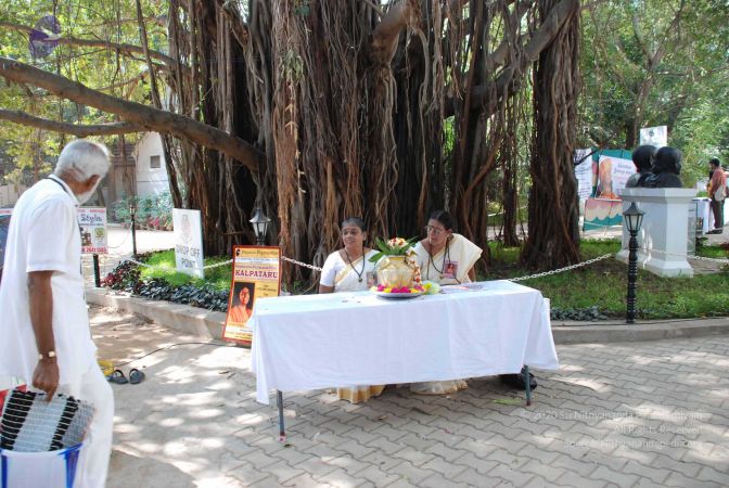 20090214 DSC 0006 CMP WM00-1.jpg