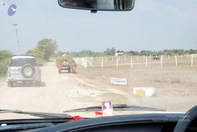 20090215DSC 0209 CMP WM001.jpg