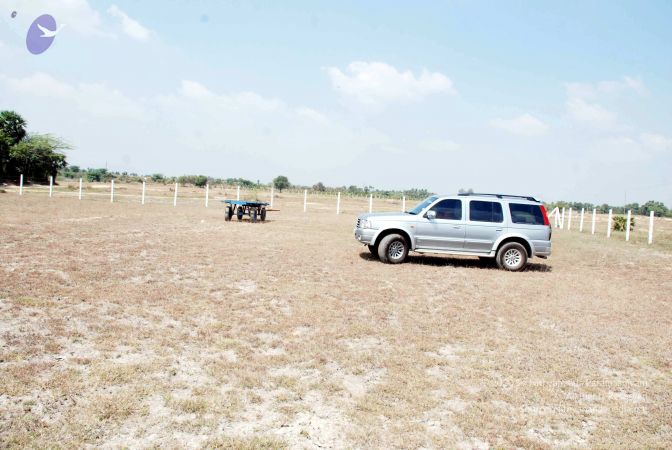 20090215DSC 0212 CMP WM001.jpg