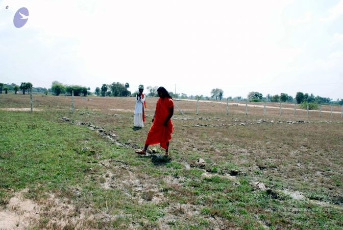 20090215DSC 0230 CMP WM001.jpg