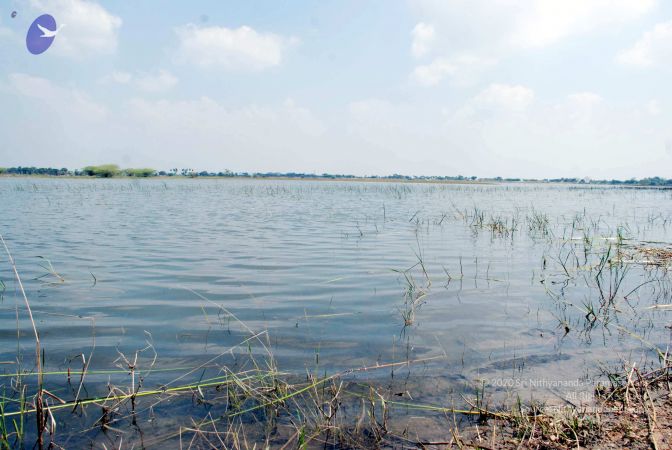 20090215DSC 0261 CMP WM001.jpg