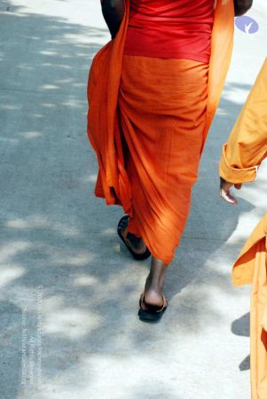 20090215DSC 1117 CMP WM001.jpg