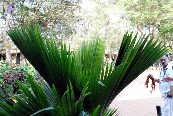 20090215DSC 1128 CMP WM001.jpg