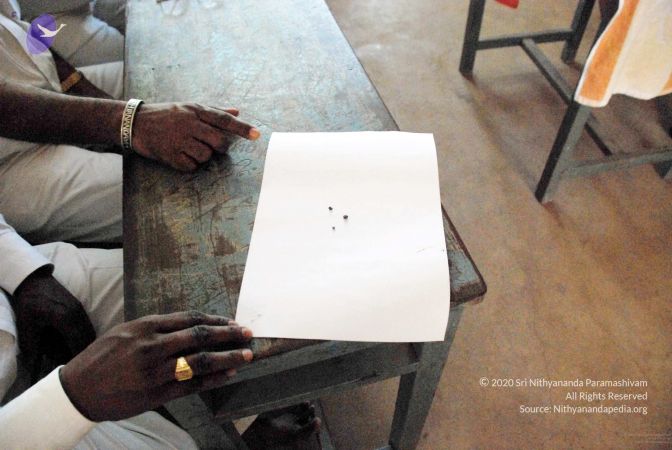 20090215DSC 1580 CMP WM001.jpg