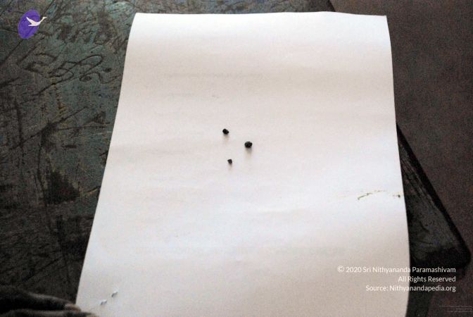 20090215DSC 1581 CMP WM001.jpg