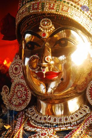 20090216 DSC 0500 CMP WM00-1.jpg