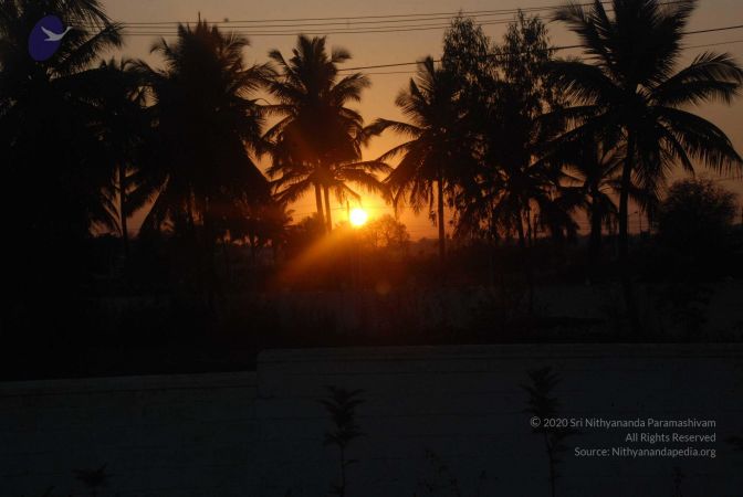 20090216 DSC 0570 CMP WM00-1.jpg