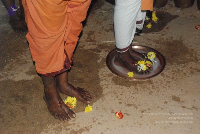 20090216 DSC 0698 CMP WM00-1.jpg