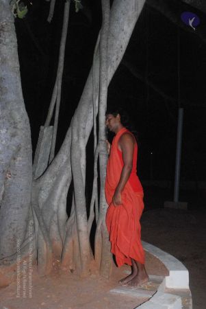 20090216 DSC 0728 CMP WM00-1.jpg