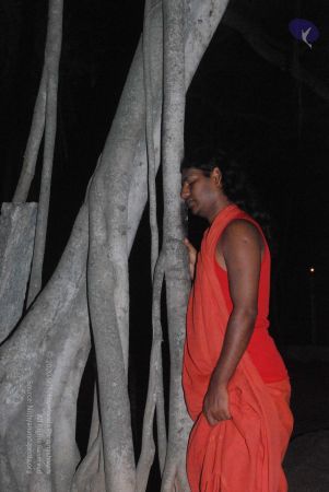 20090216 DSC 0729 CMP WM00-1.jpg