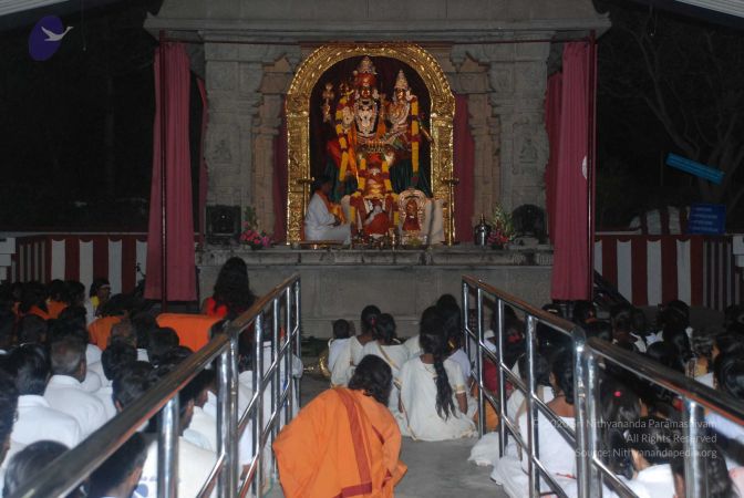 20090216 DSC 0750 CMP WM00-1.jpg