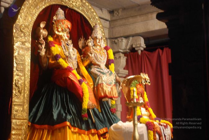 20090216 DSC 0752 CMP WM00-1.jpg