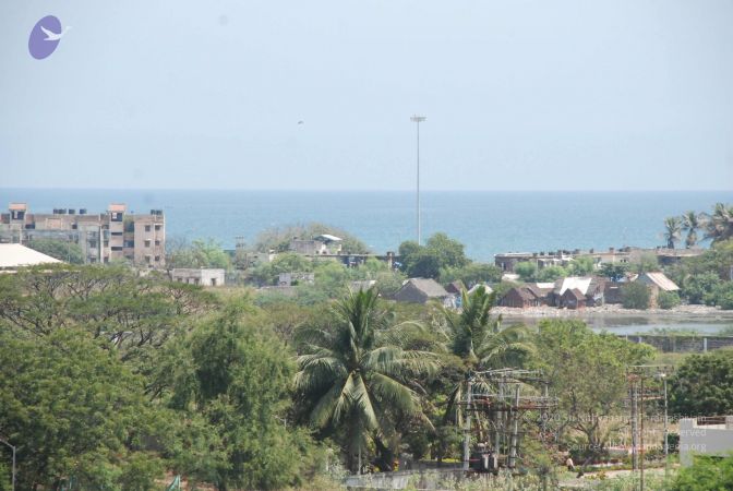 20090303 Photo 1006 1-JjcGIq0rF85OK2ei3UFOZqBMhYbaB44.JPG