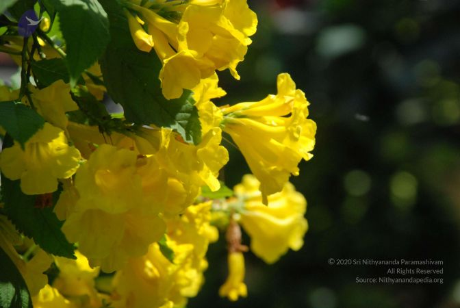 20090303 Photo 1022 1yQ7-7akLMY4HOzn4JTX B-EDzs0FhAiI.JPG