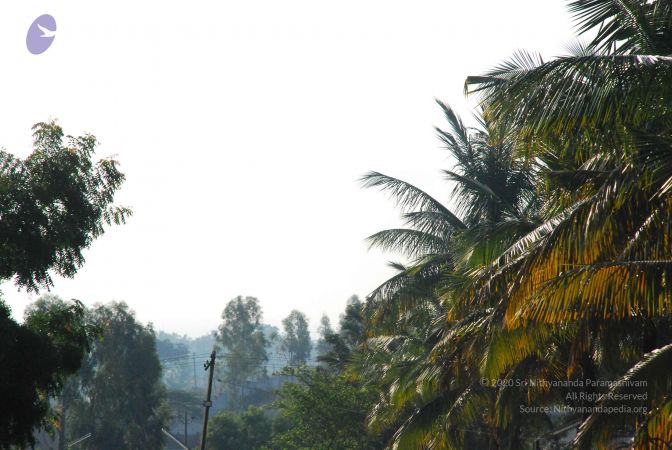 20090601 Photo 1245 18Z4 RSU1FUklh91vJ4mqaIQqB1-wJiEX.JPG