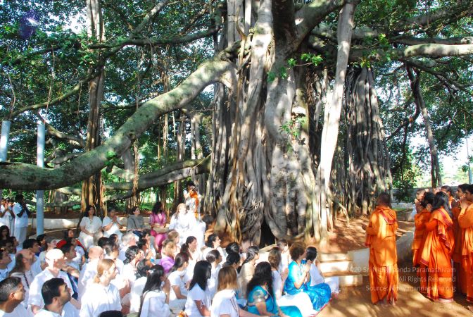 20090601 Photo 1339 1IZDKqzRGTEtPW65K1SoRU1X8aL3eFM5K.JPG