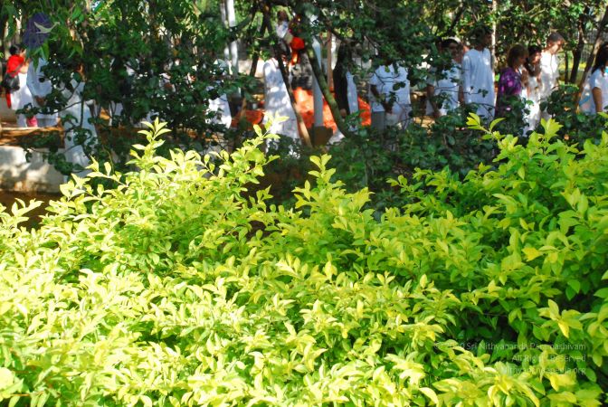 20090601 Photo 1363 1k6-8hjQV7PTgHU1OICj6-K 6sw Xr3ah.JPG