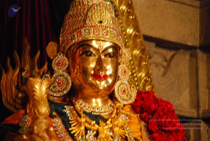 20090604 Photo 1007 1iUcLlxwap93qCJZUVDUUby7St1MphyEq.JPG