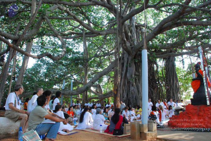 20090604 Photo 1076 1L9oILUJ20hTmS7evl2FYrydnoUmcD8ud.JPG