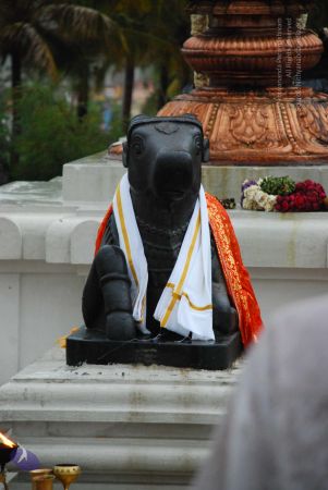 20090605 Photo 1071 1VNeHgpM9ZUgl50HJHxnZsiimYN1d7mey.JPG