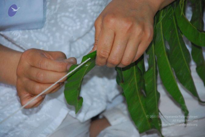 20090609 Photo 1060 1KdY D93 ERjeiiJzx0e-V6yDo2Jm6p-1.JPG