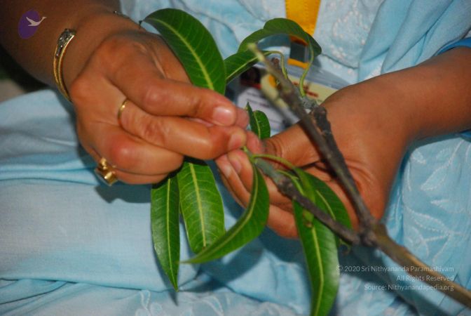 20090609 Photo 1062 1aSE9RiwSFOMByh7Z0iMLFU RqVYScNc-.JPG