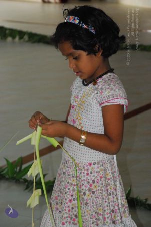 20090609 Photo 1087 1QLDcuXmHU5aV-JY5RurRgX0644N4Scqy.JPG