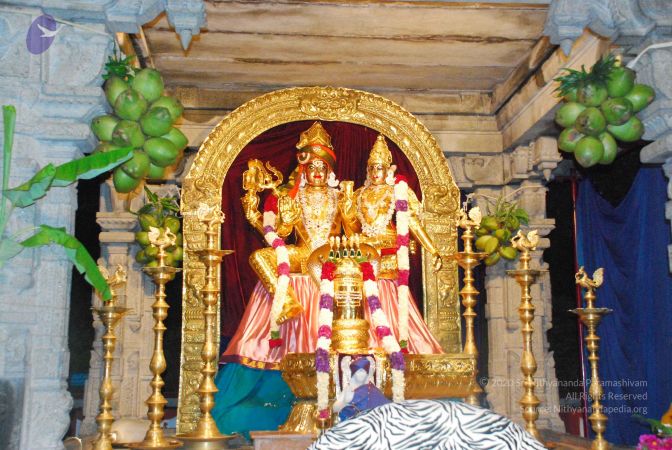 20090609 Photo 1366 1hrgu4zod6Dxkj2rkZVQLwYz3iH63C 9t.JPG