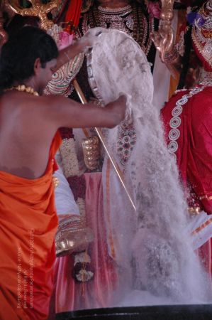 20090609 Photo 1709 1jKpAWfoz9 xLrOrihsardJRIelzLhW73.JPG