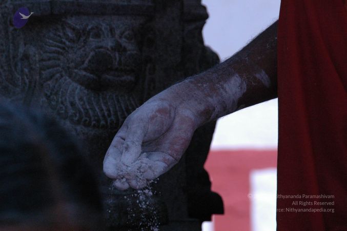 20090609 Photo 1749 1fNltKvUZdnVvOxBYhMOjRQMtntIalWJI.JPG