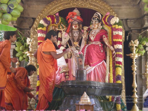 20090609 Photo 1815 1AxM-4zRSHHCOvnOba8BFXKISeRzzifKZ.JPG