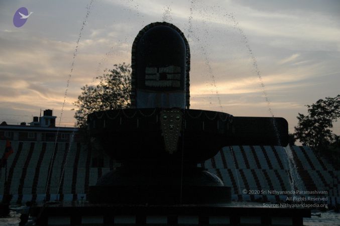 20090609 Photo 2416 1y6fzX1nO nr-b5b1HtbVW4EnBwW394Xs.JPG